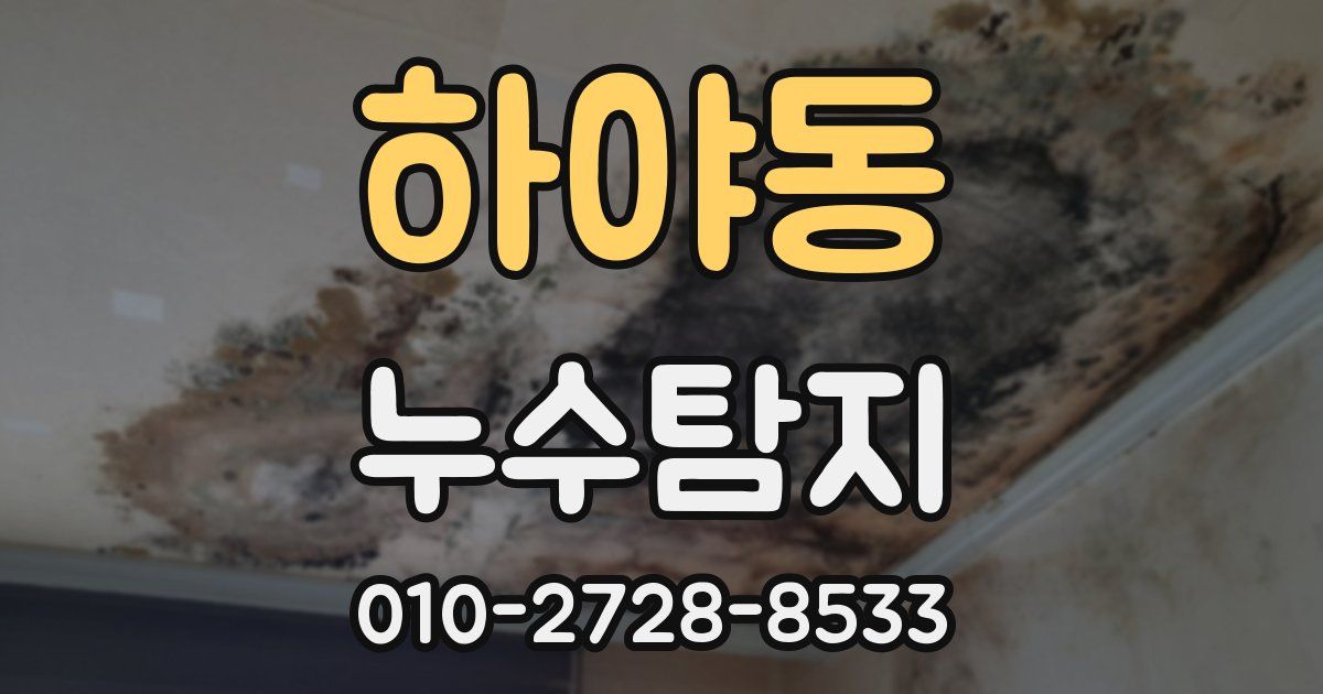 하야동 누수공사