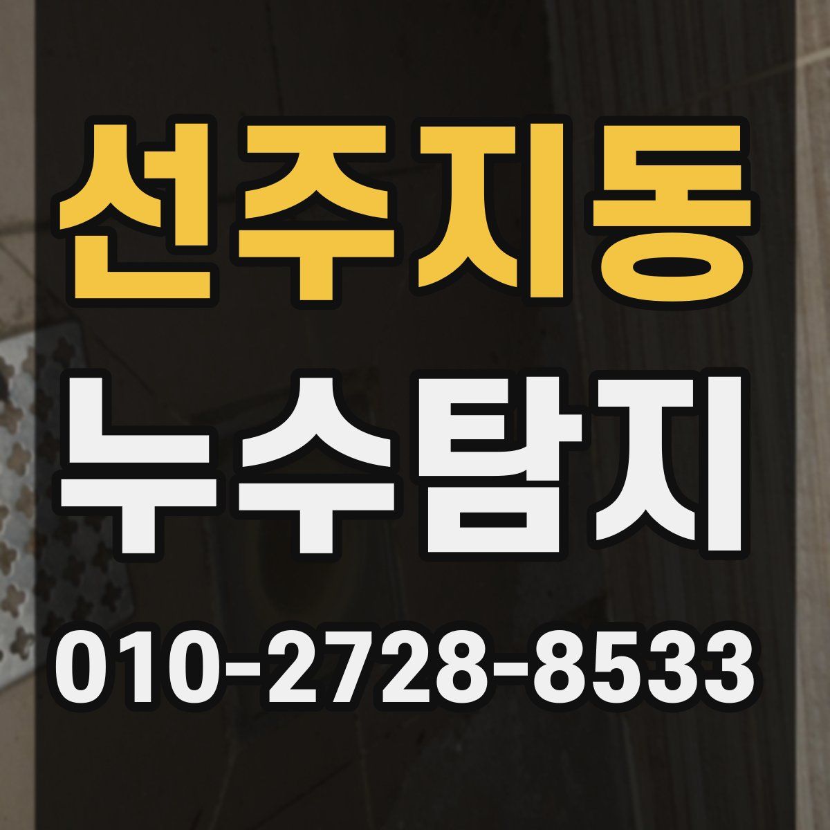 선주지동 누수탐지