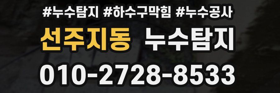 선주지동 누수탐지업체