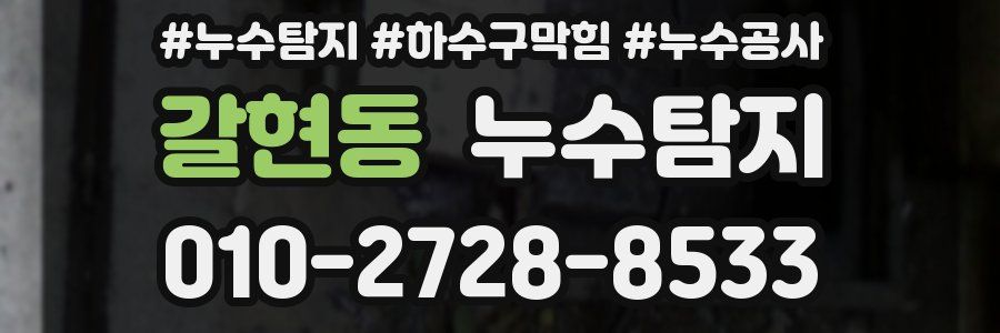 갈현동 누수탐지업체