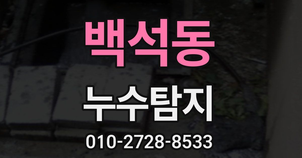 백석동 누수공사