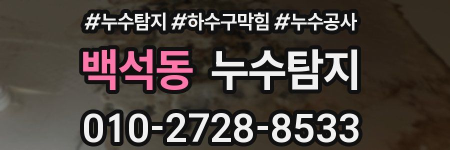백석동 누수탐지업체