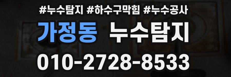 가정동 누수탐지업체