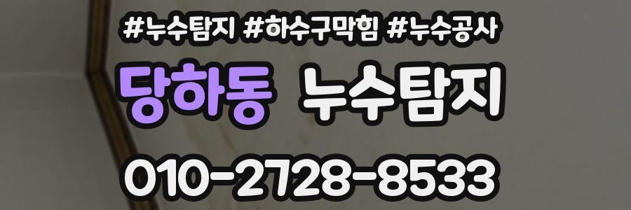 당하동 누수탐지업체