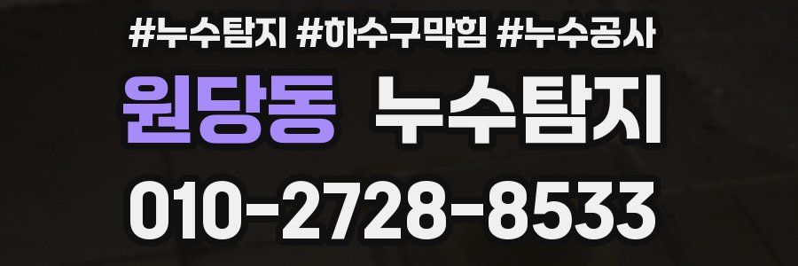 원당동 누수탐지업체