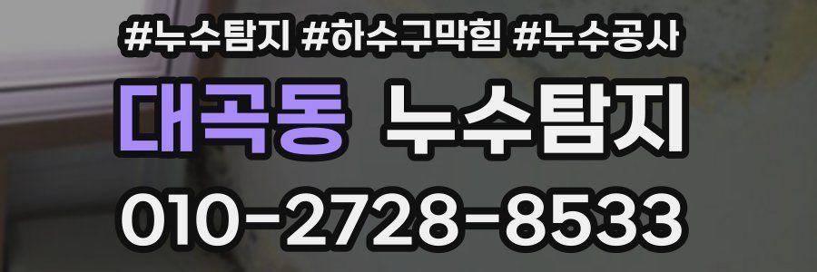 대곡동 누수탐지업체