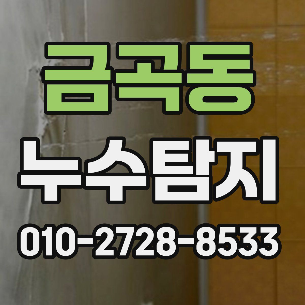 금곡동 누수탐지