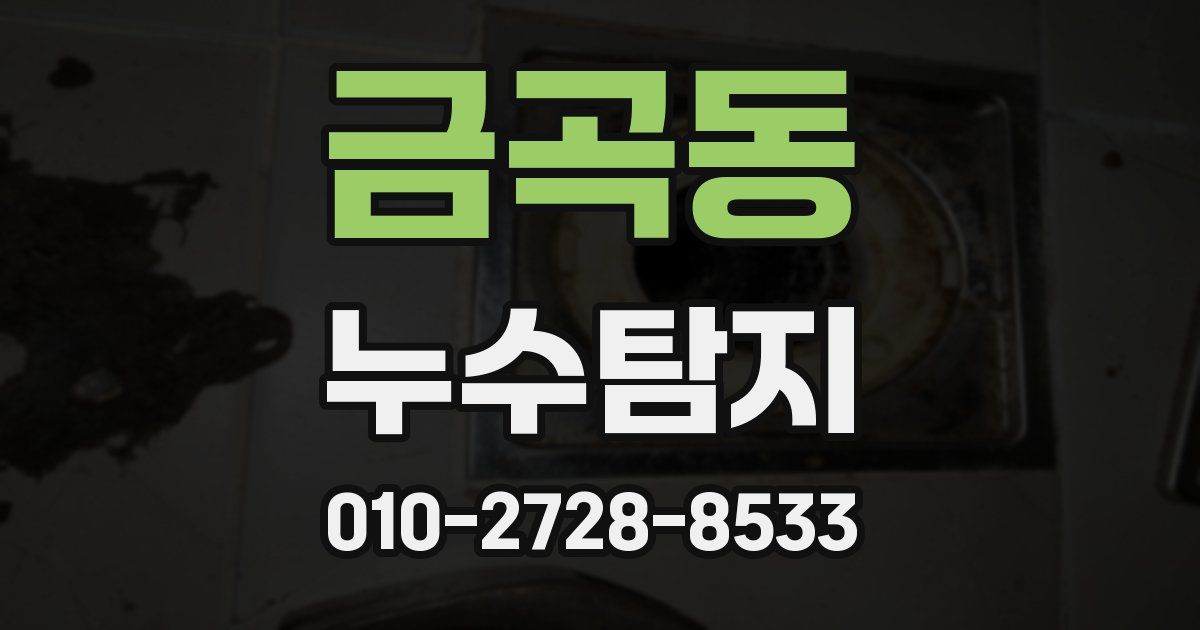 금곡동 누수공사