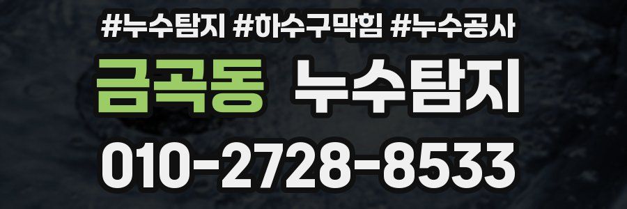 금곡동 누수탐지업체