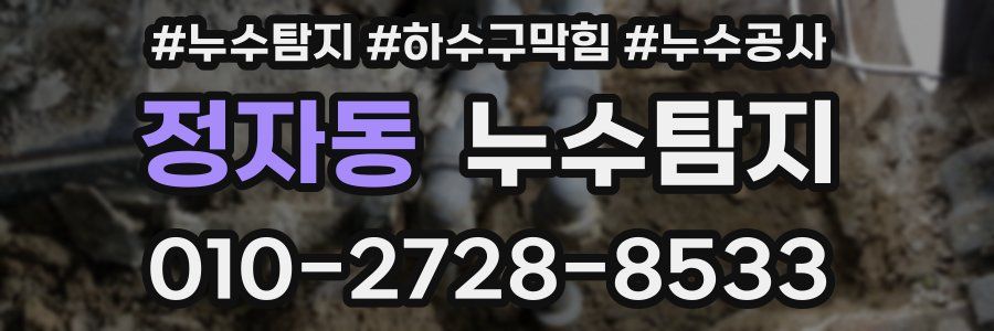 정자동 누수탐지업체