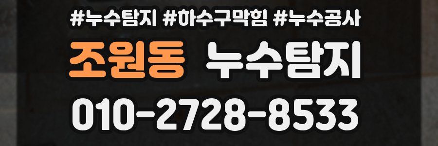 조원동 누수탐지업체
