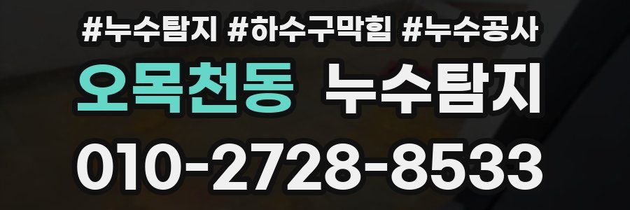 오목천동 누수탐지업체