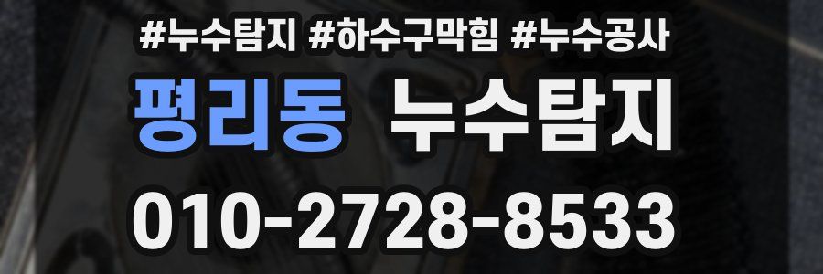 평리동 누수탐지업체