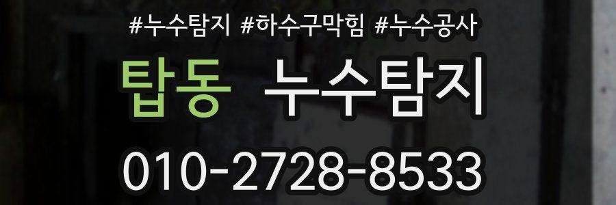 탑동 누수탐지업체