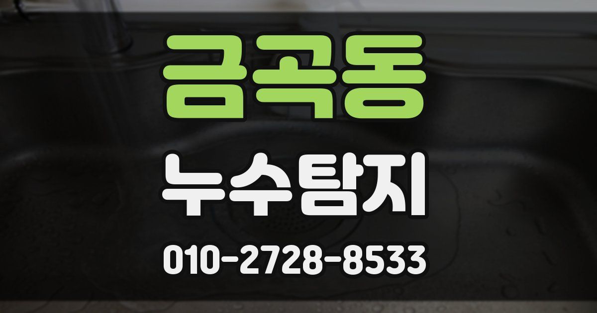 금곡동 누수공사
