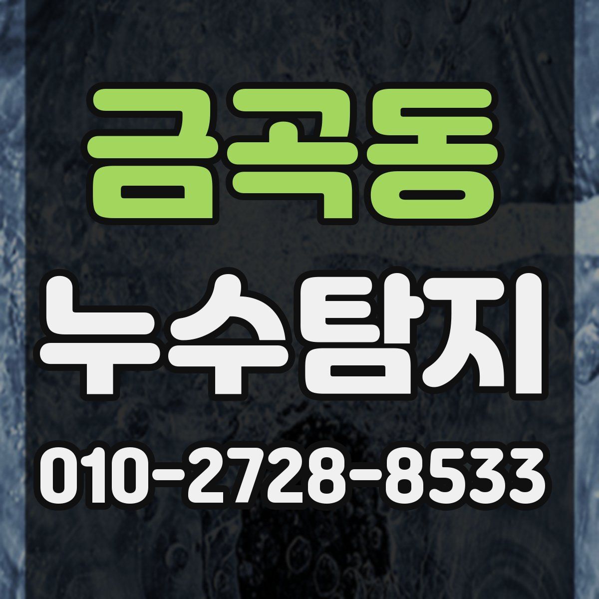 금곡동 누수탐지