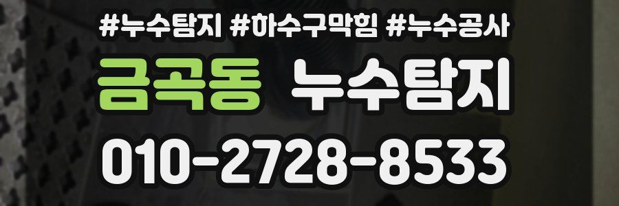 금곡동 누수탐지업체