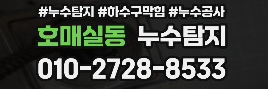 호매실동 누수탐지업체