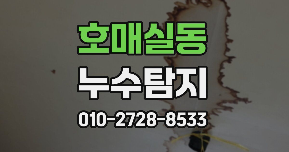 호매실동 누수공사