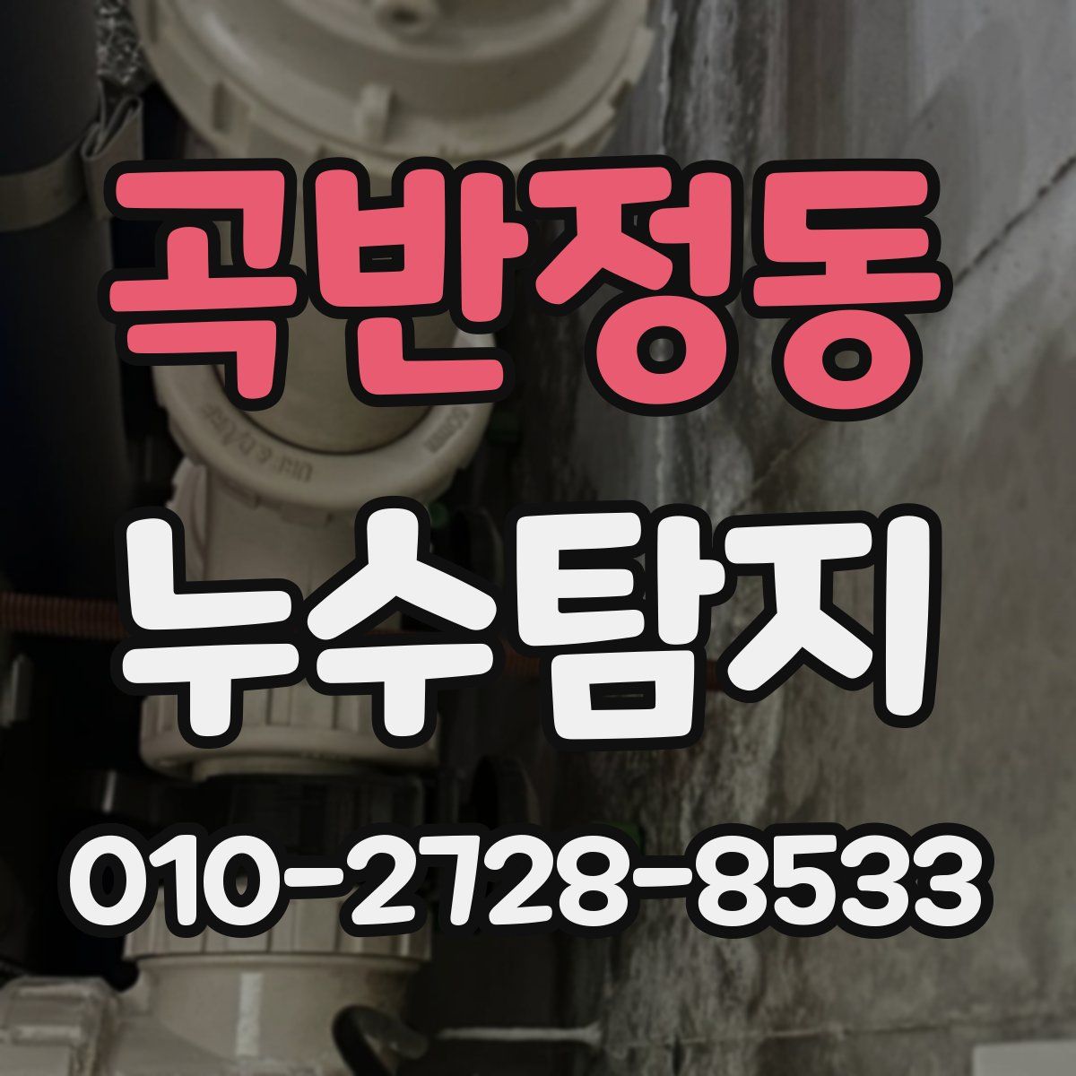 곡반정동 누수탐지