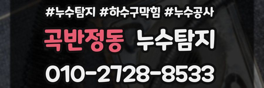 곡반정동 누수탐지업체