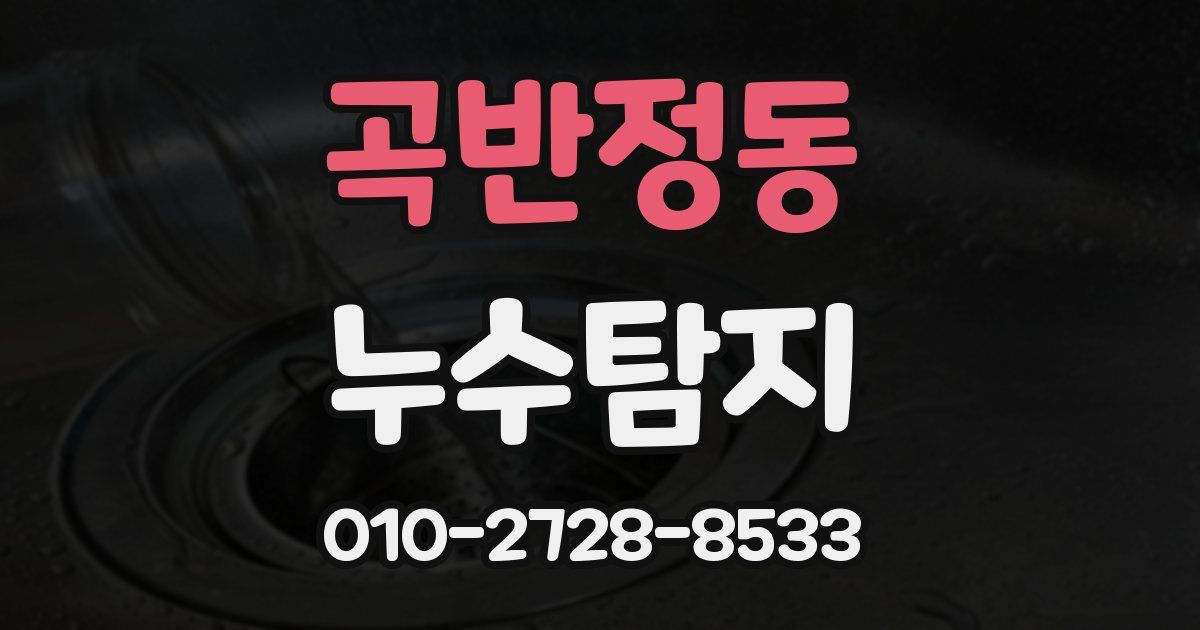 곡반정동 누수공사
