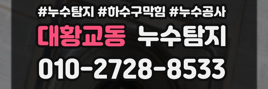 대황교동 누수탐지업체
