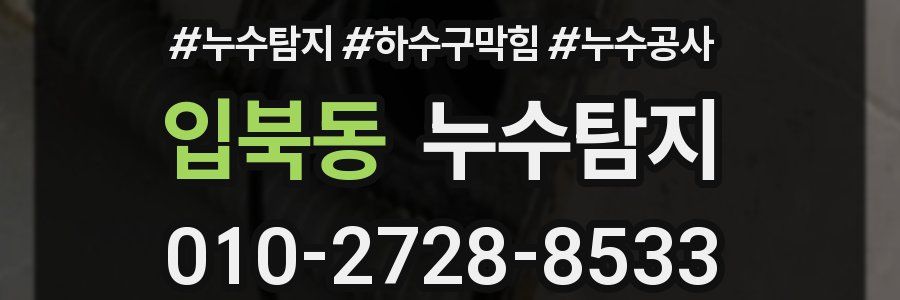 입북동 누수탐지업체