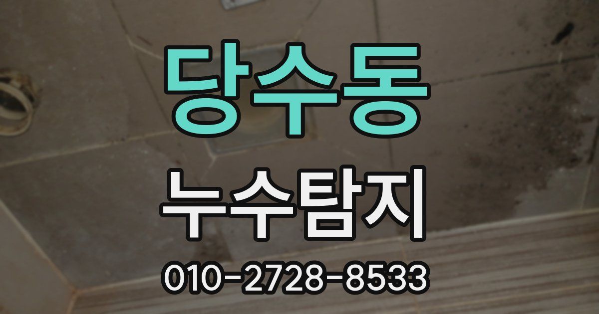 당수동 누수공사