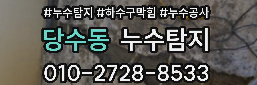 당수동 누수탐지업체
