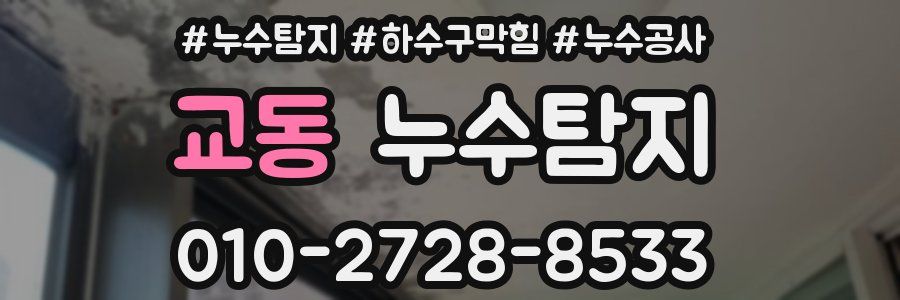 교동 누수탐지업체