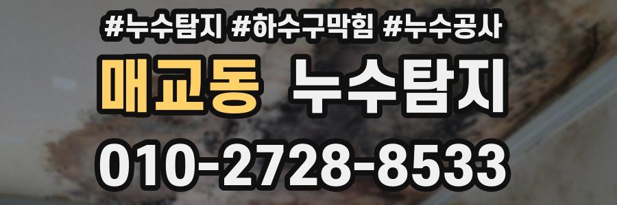 매교동 누수탐지업체