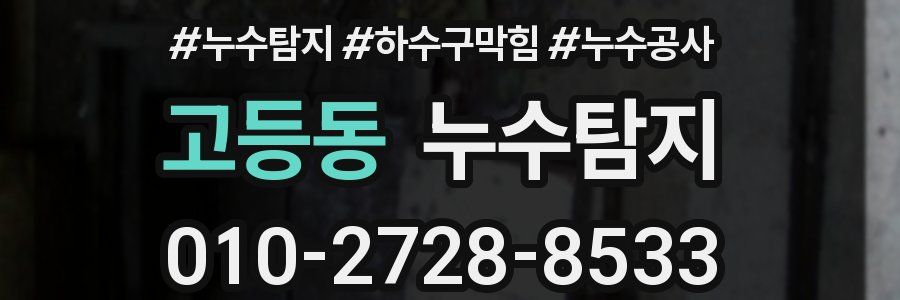 고등동 누수탐지업체