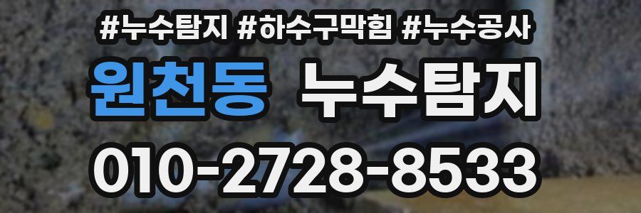 원천동 누수탐지업체