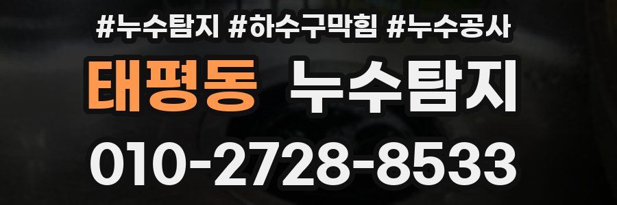태평동 누수탐지업체