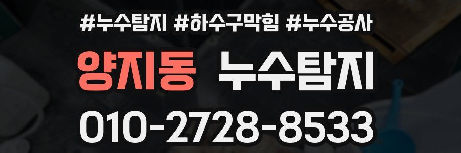 양지동 누수탐지업체