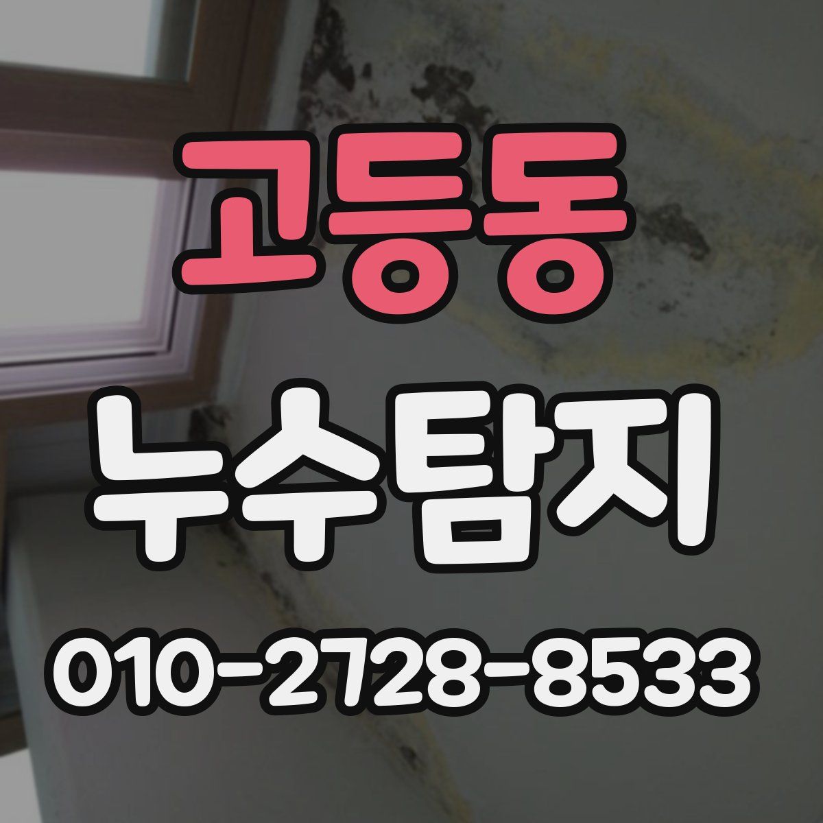 고등동 누수탐지
