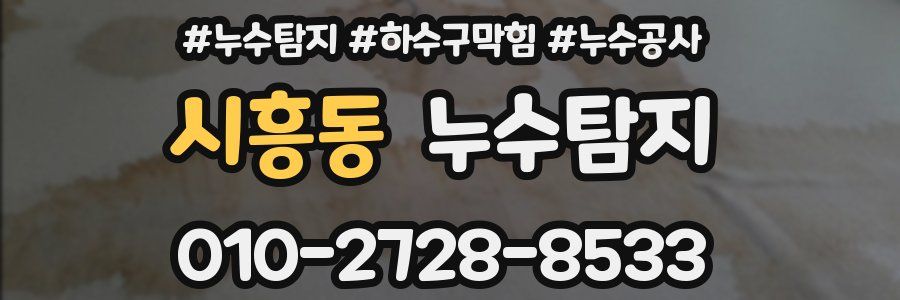 시흥동 누수탐지업체
