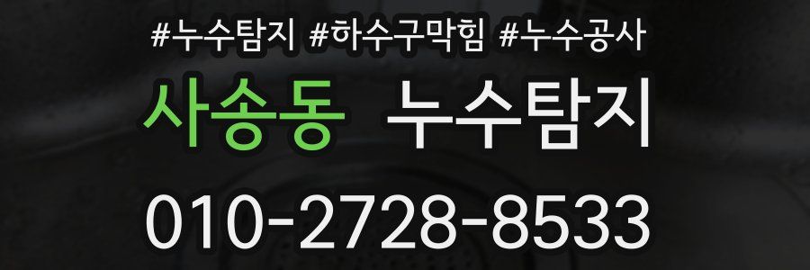 사송동 누수탐지업체