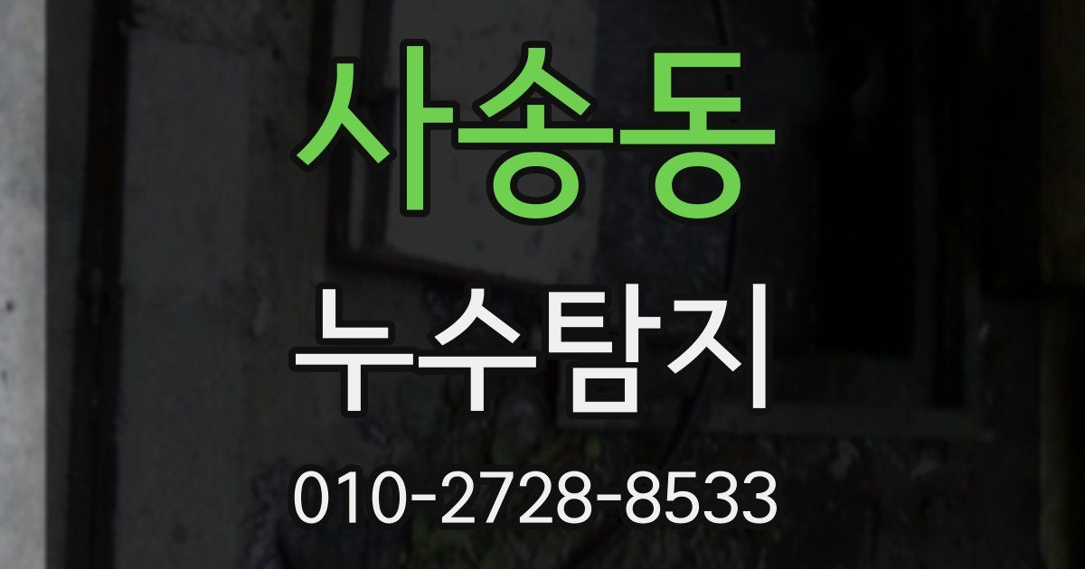 사송동 누수공사