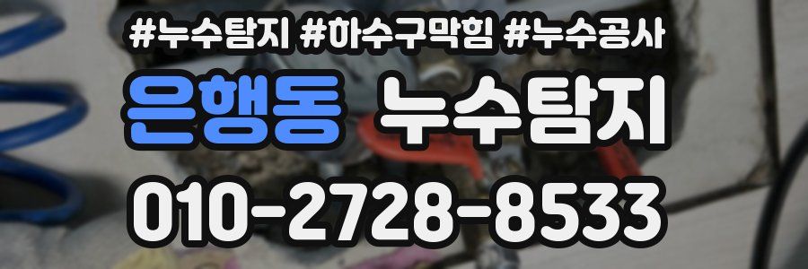 은행동 누수탐지업체
