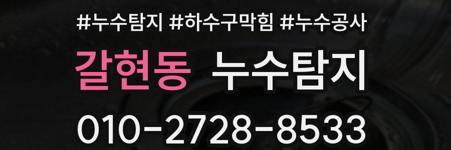 갈현동 누수탐지업체
