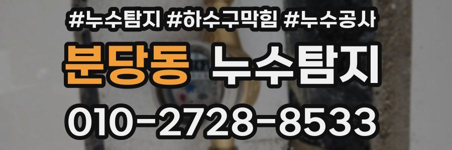 분당동 누수탐지업체