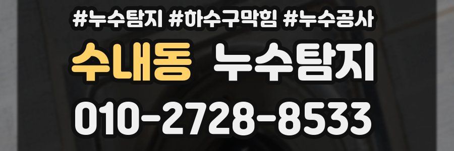 수내동 누수탐지업체