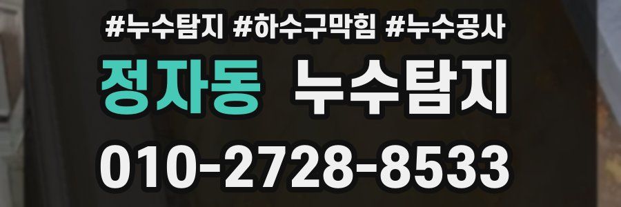 정자동 누수탐지업체