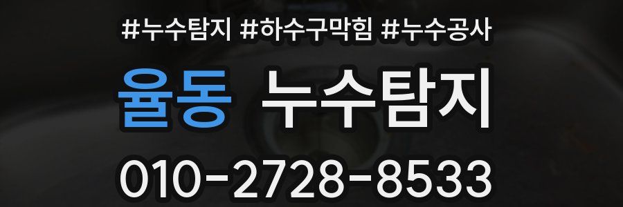 율동 누수탐지업체