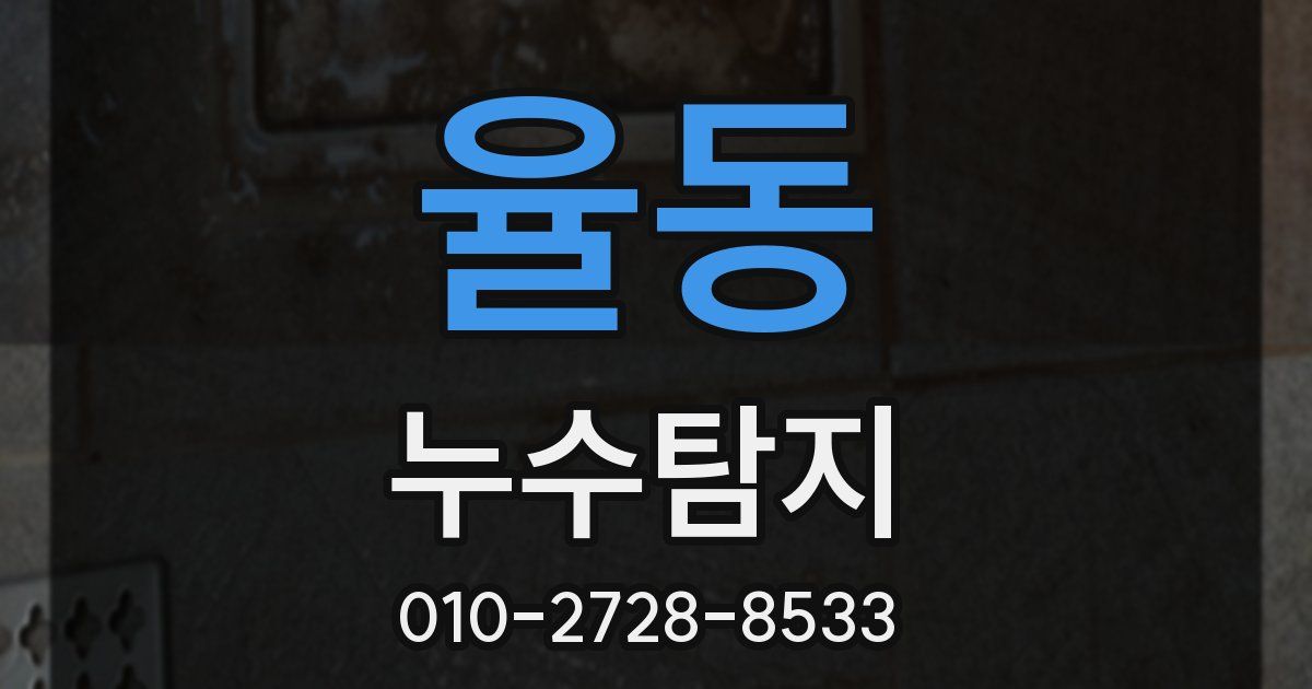 율동 누수공사
