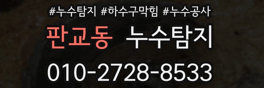 판교동 누수탐지업체