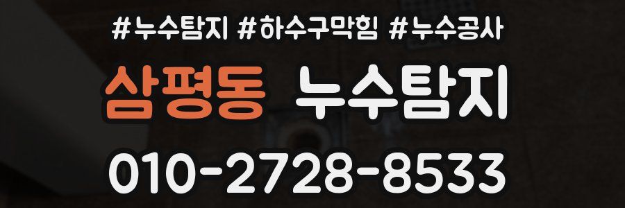 삼평동 누수탐지업체
