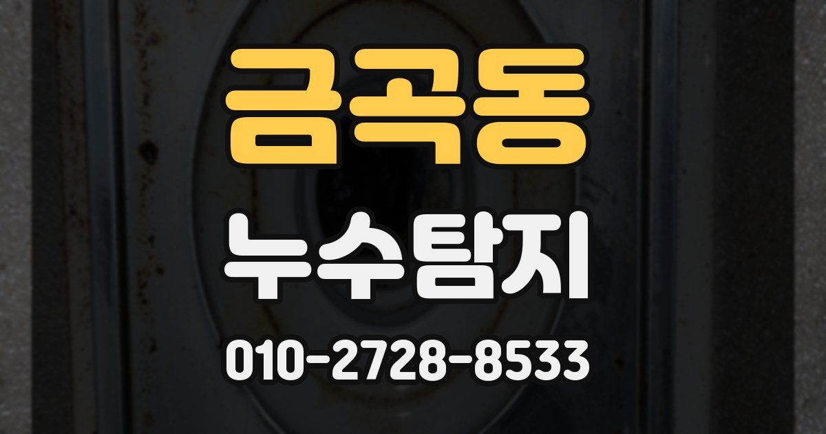 금곡동 누수공사